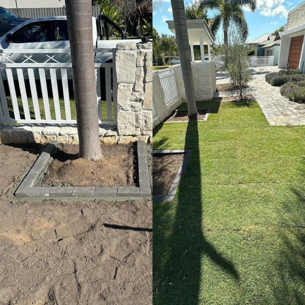 before and after establish new gardens