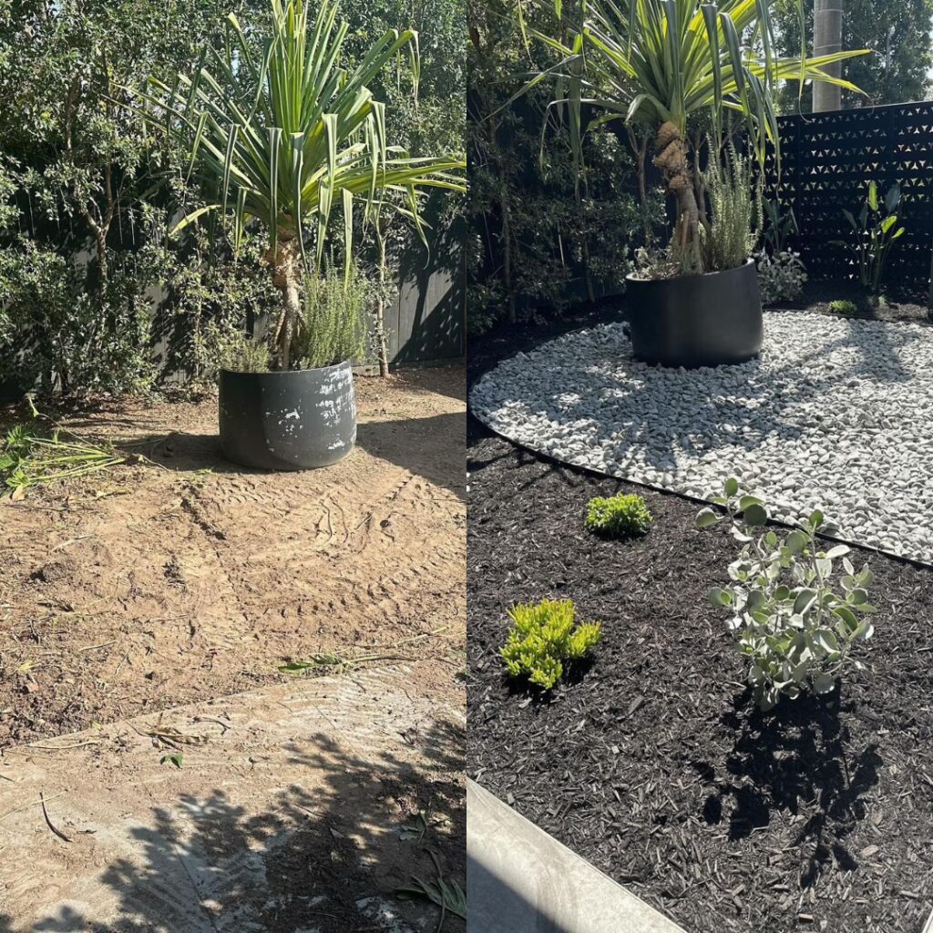before and after gravelled and mulched areas